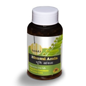 BHUMI AMLA CAPSULES